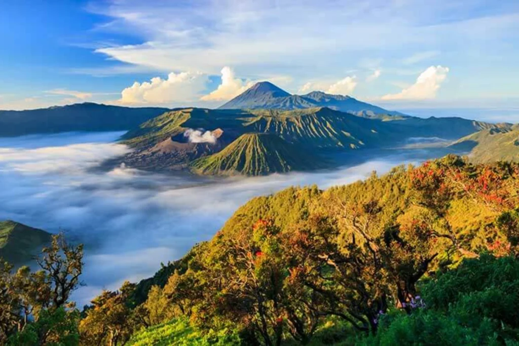 67ac566b9bee244416c29507_kintamani volcano